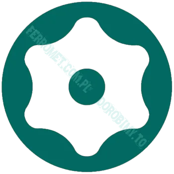 TORX+PIN