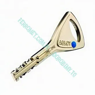 Klucz ABLOY PROTEC - 6